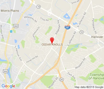 logo-image - cedar-knolls-nj